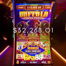 Experiência VIP Bra88